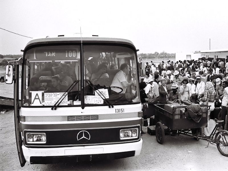 &quot;A tale of two cities&quot; Egged&#39;s historic line to Cairo