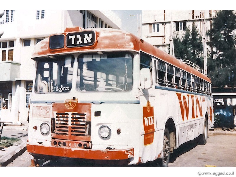 "הטייגרים" שלנו עדיין בשירות... בבורמה