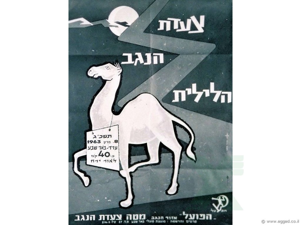 פרסומת מאוירת לצעדת הנגב הלילית - גמל על רקע כביש