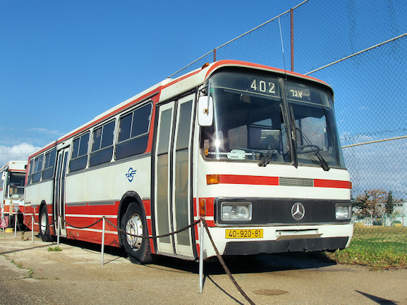 "מרצדס" 1981